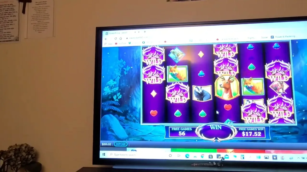 Bet365 Casino — conseguir cashback