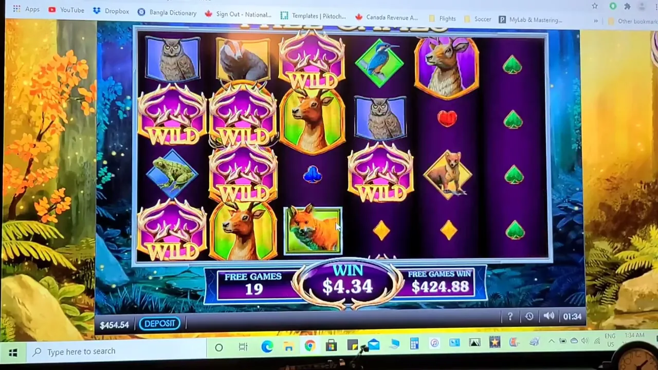 Bet365 Casino — conseguir cashback