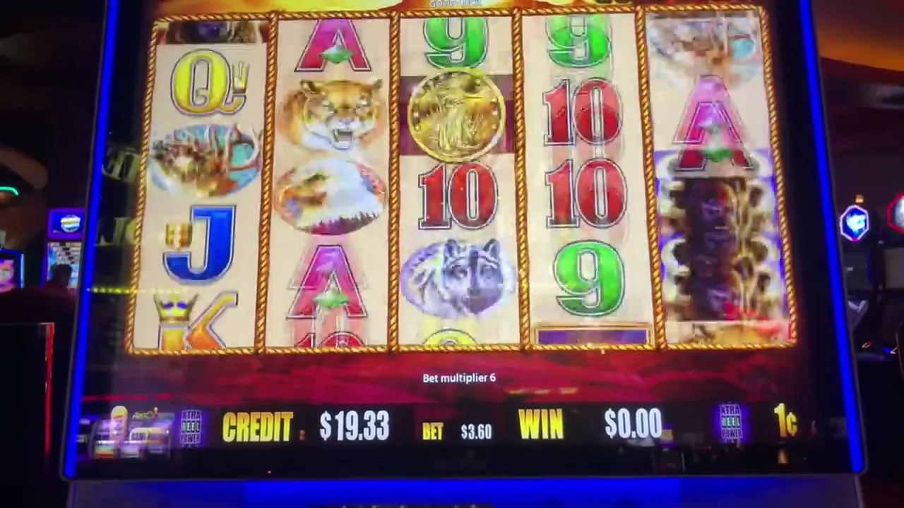 Buffalo's Wealth Win Spins — conseguir cashback